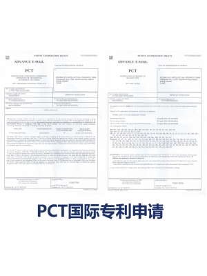 PCT国际专利申请