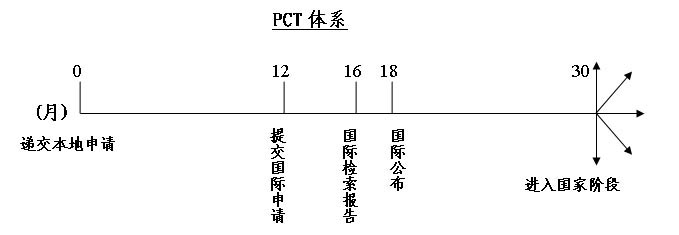  PCT国际专利申请(图1)